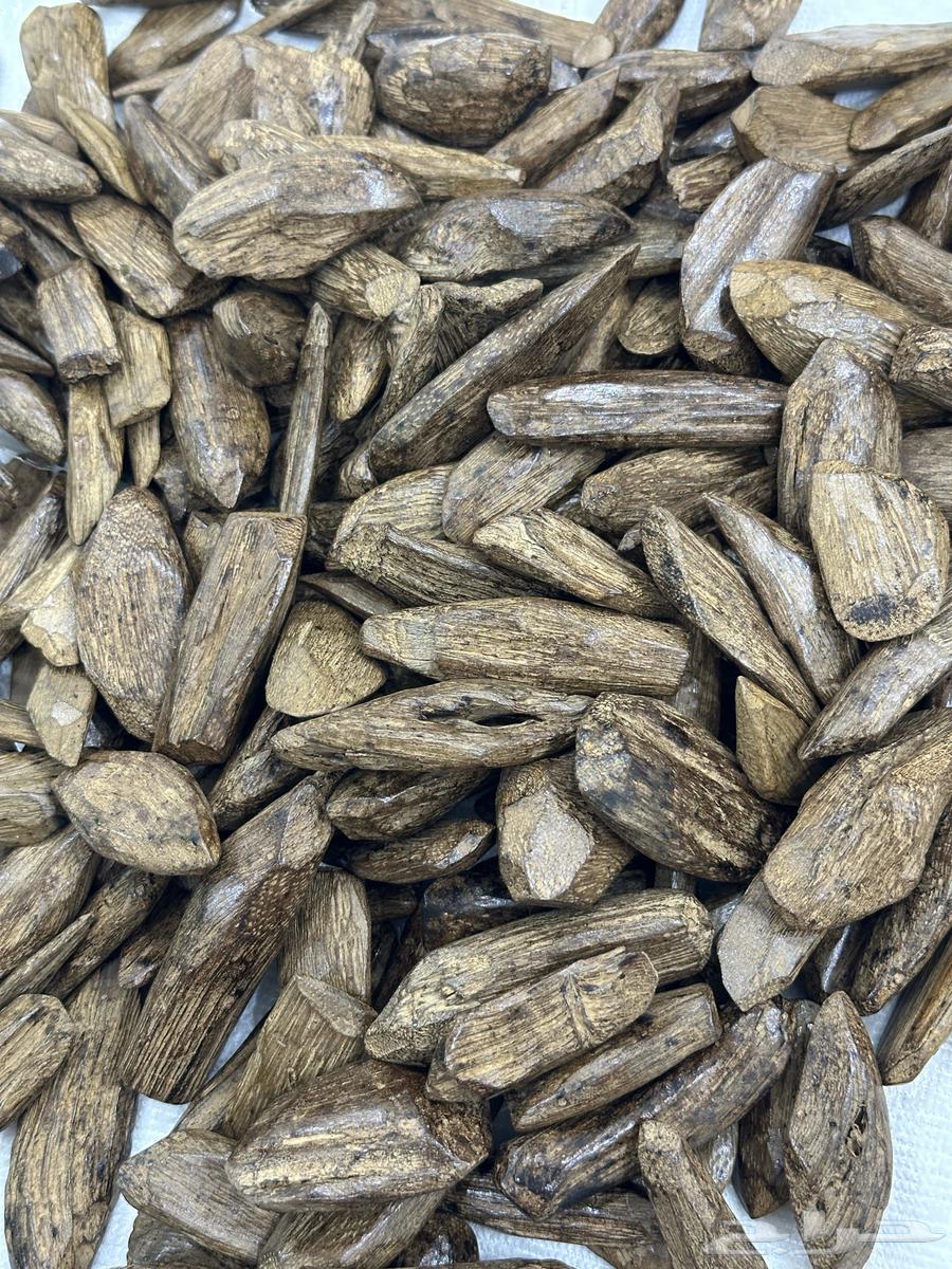 Return Moroccan excellence (natural improved)63421476409731111