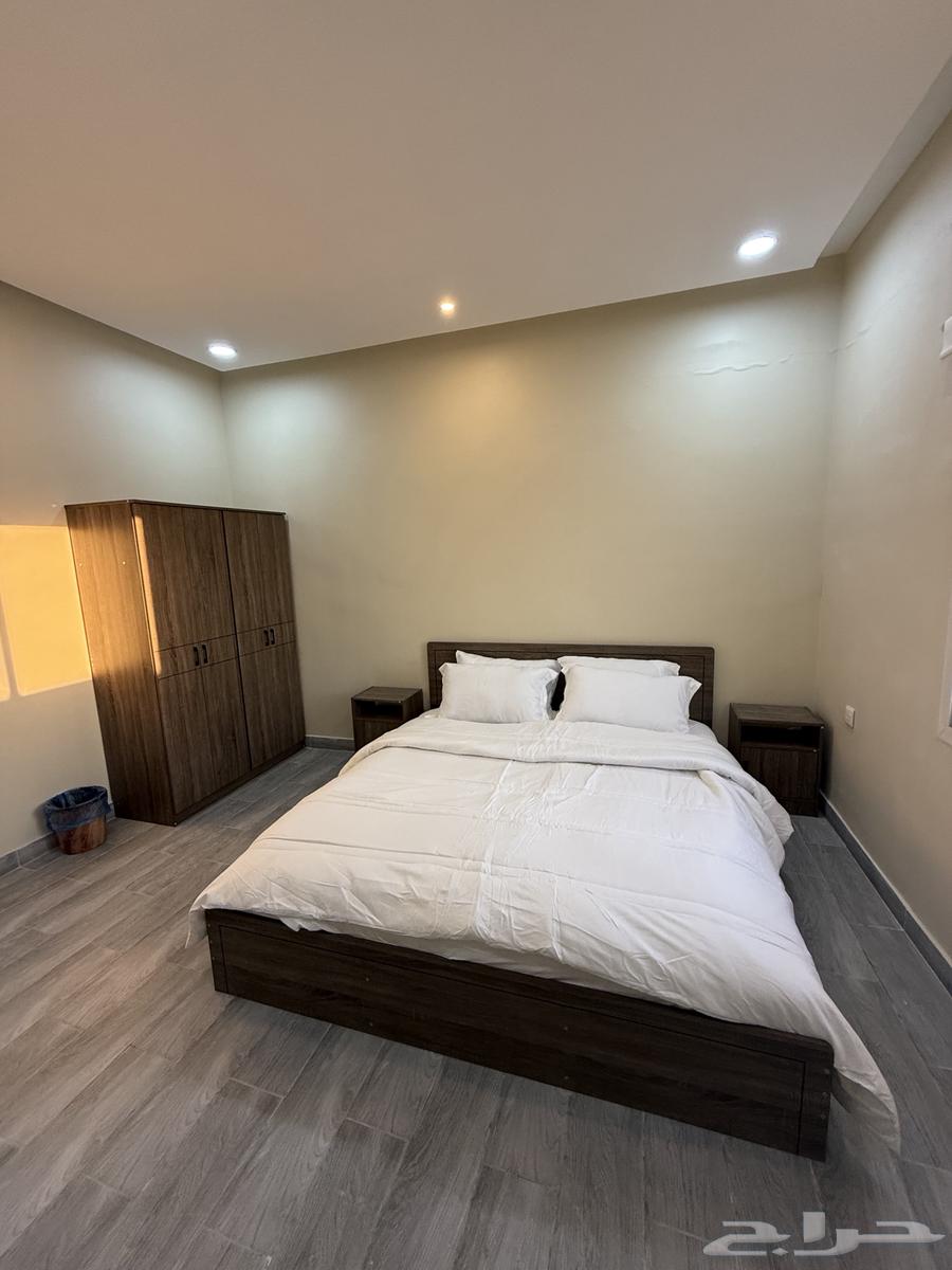 Monthly rent apartment62890389560705113