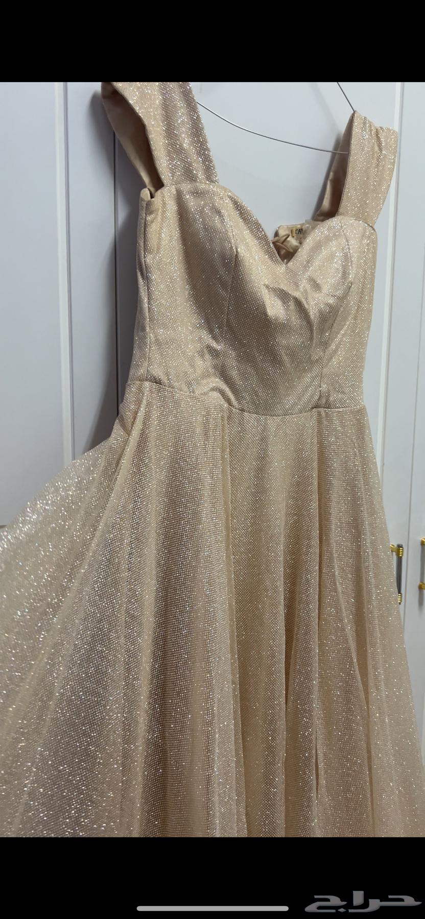 Elegant and luxurious dress634204338970911120