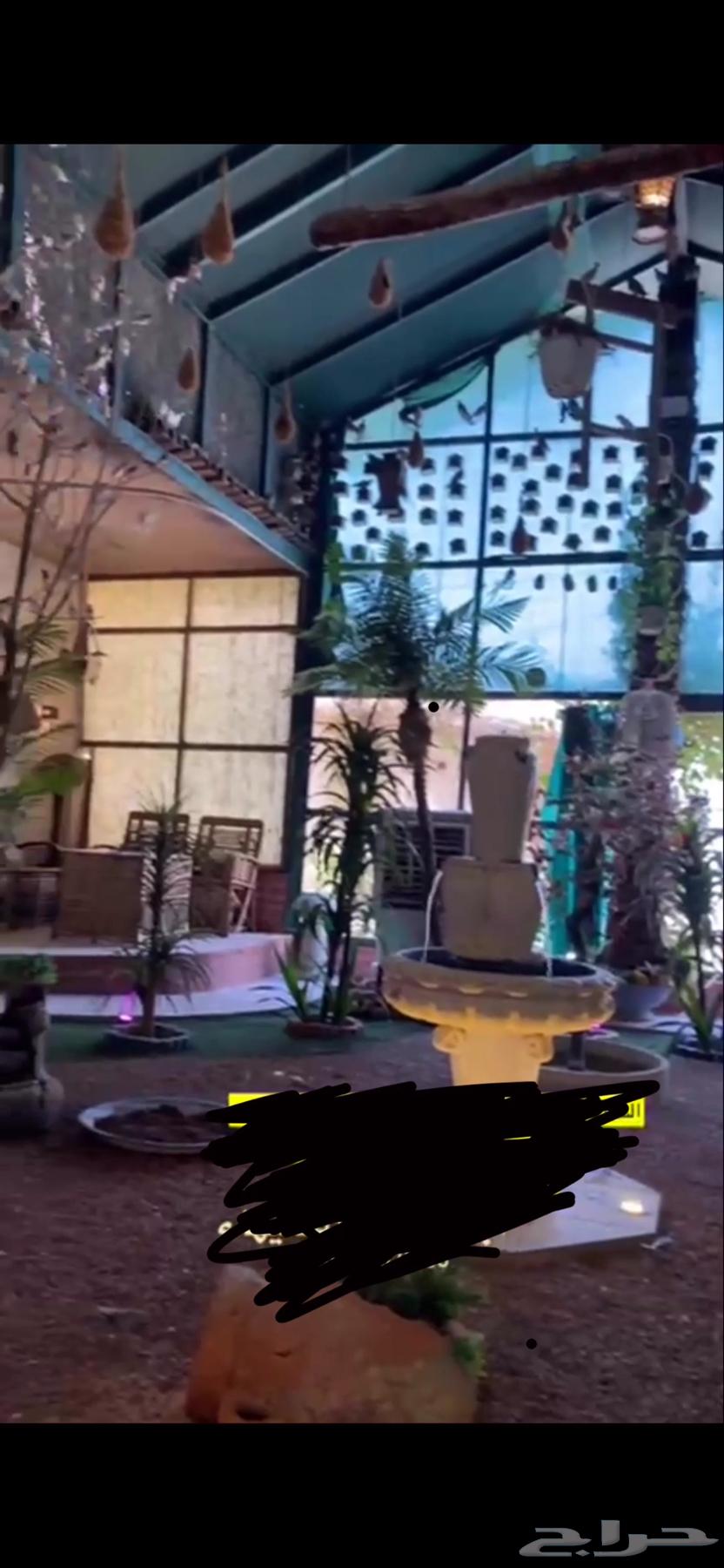 محمية طيور كامله للبيع 800 طير63422157073026112
