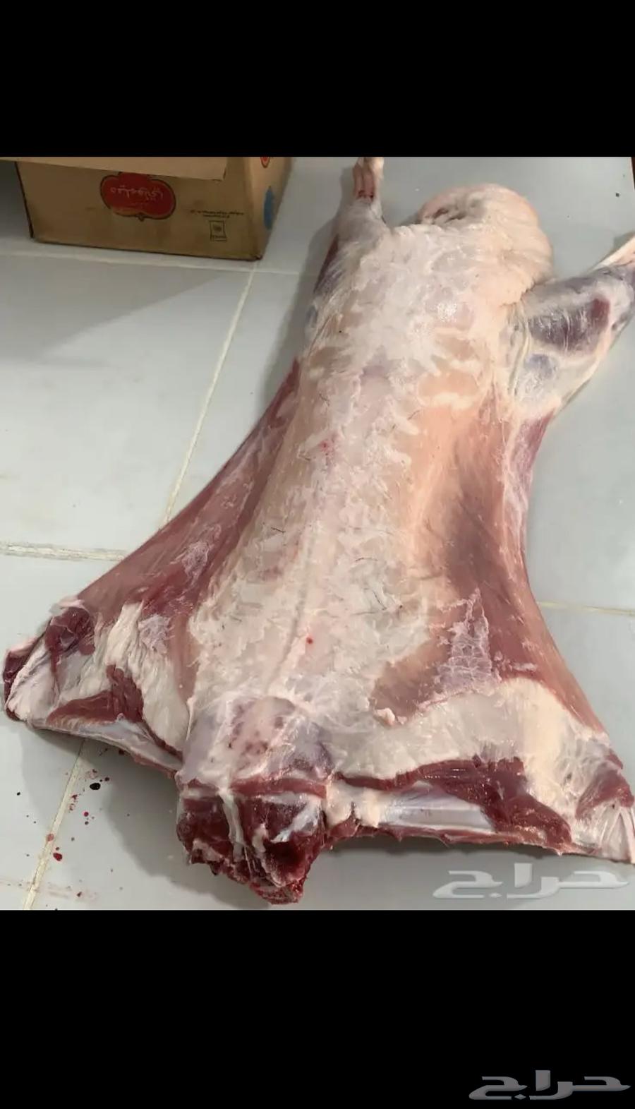 ذبايح معا خدمة الذبح والتوصيل63033161363457116
