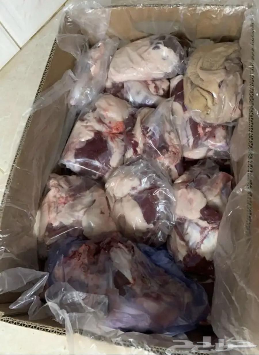 ذبايح معا خدمة الذبح والتوصيل63033161363457113