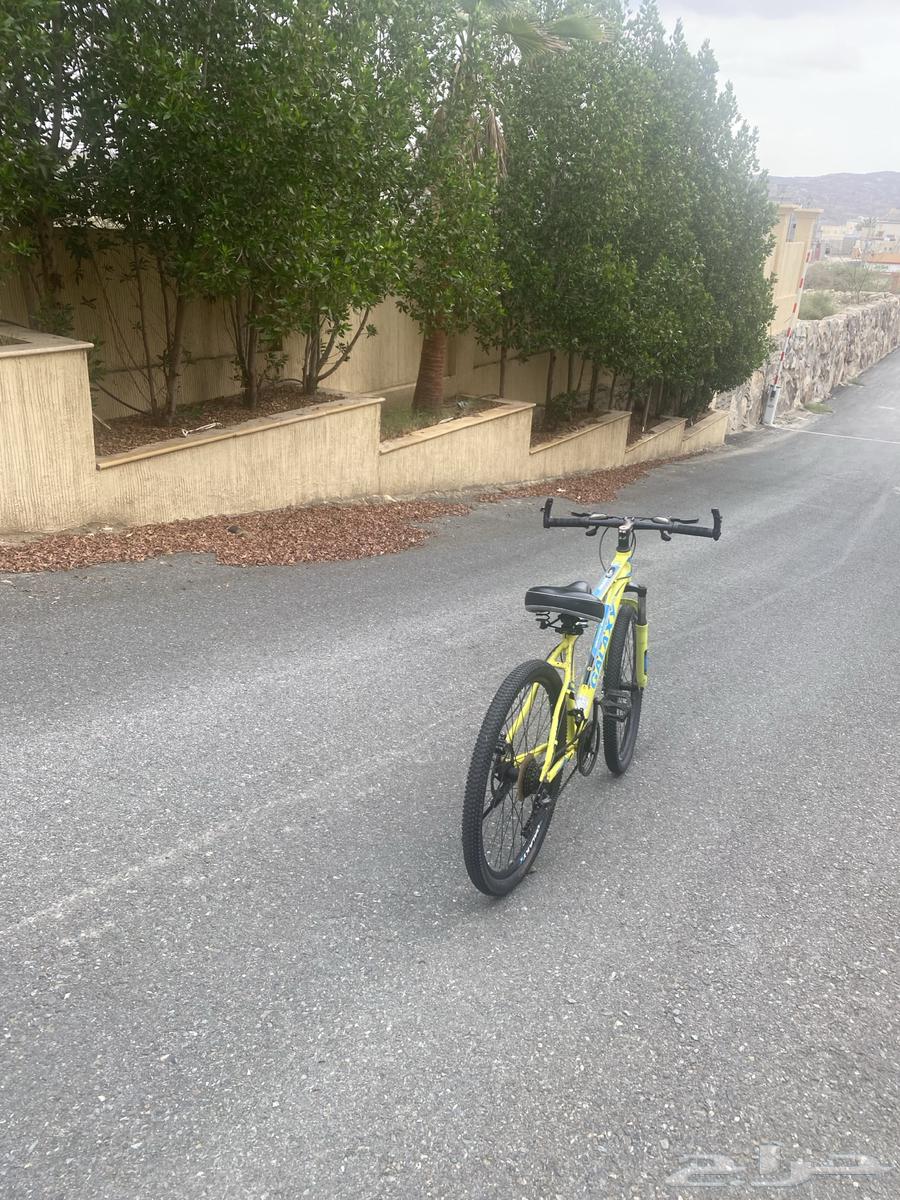 7-speed 3-number sports bicycle63414151310337111