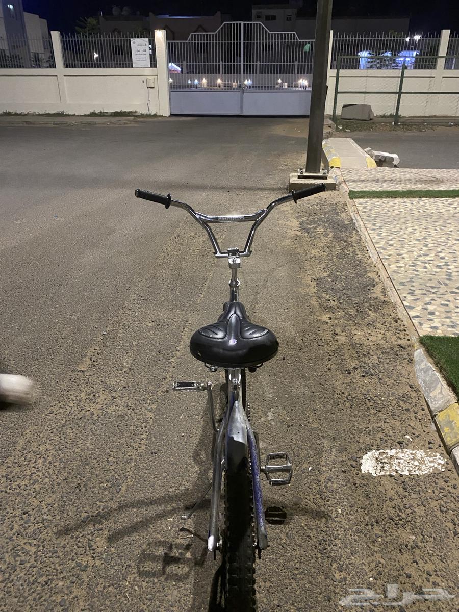 Cobra bicycle 20-inch size63419595170051113