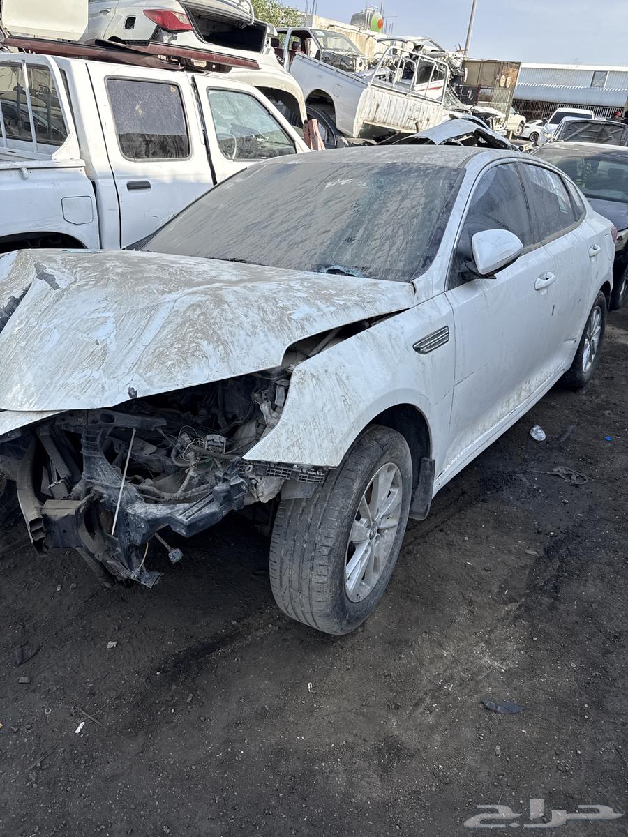 Optima 2020 - Absolute dismantling in the container63612404788993110