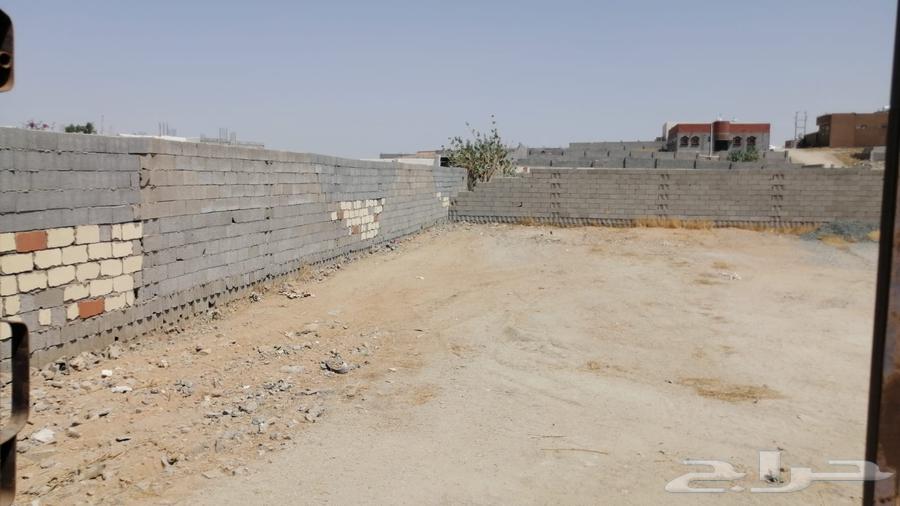 Hosh North Al-Harazat63440721921537111