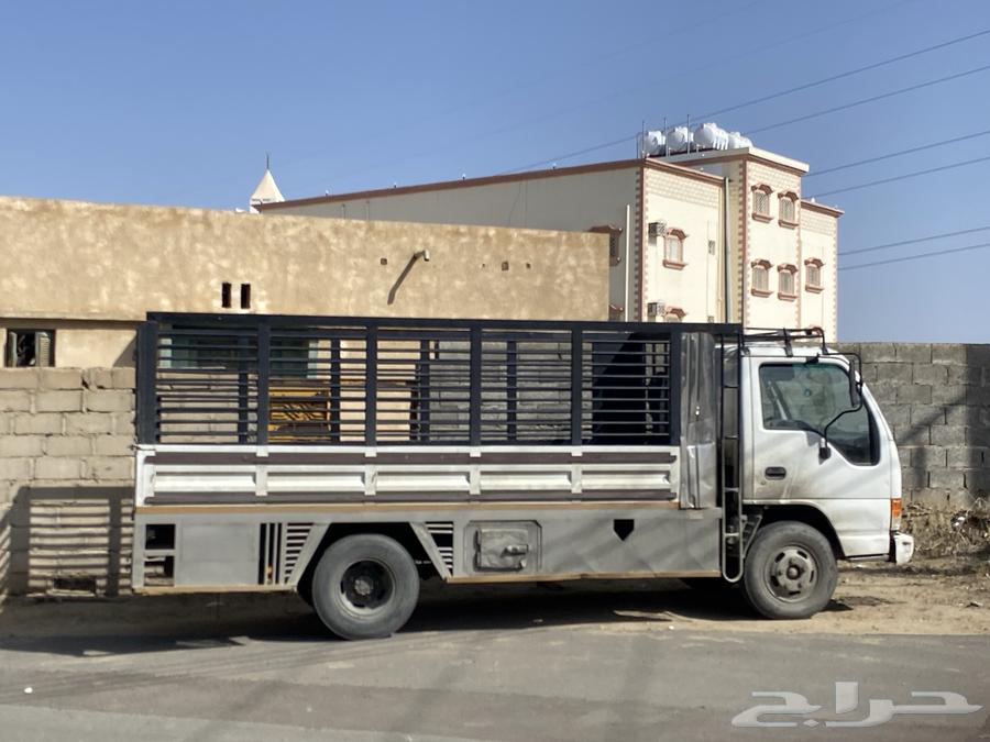 دينا شل عفش630336000376351123