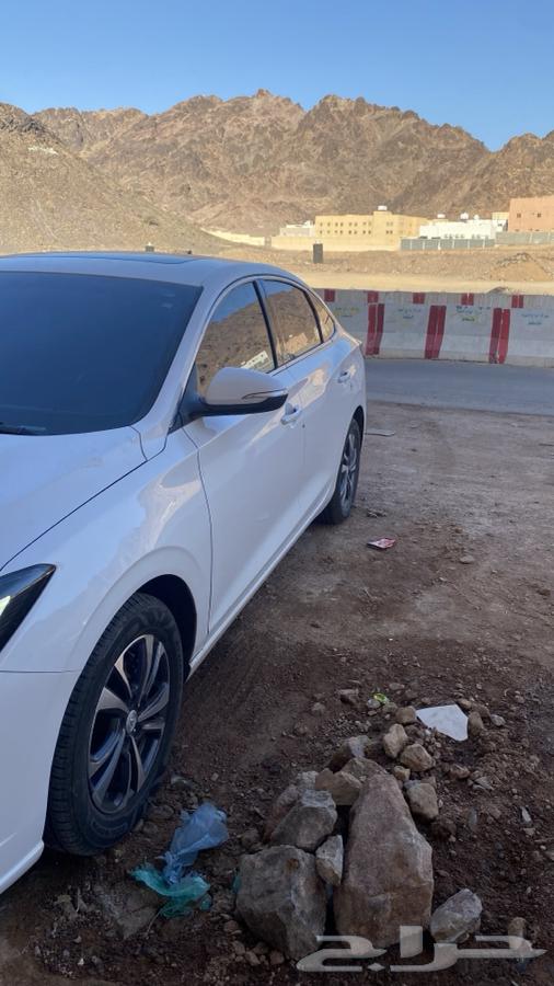 شنجان ايدو بلس 2023 بودي بلد63611988662147114