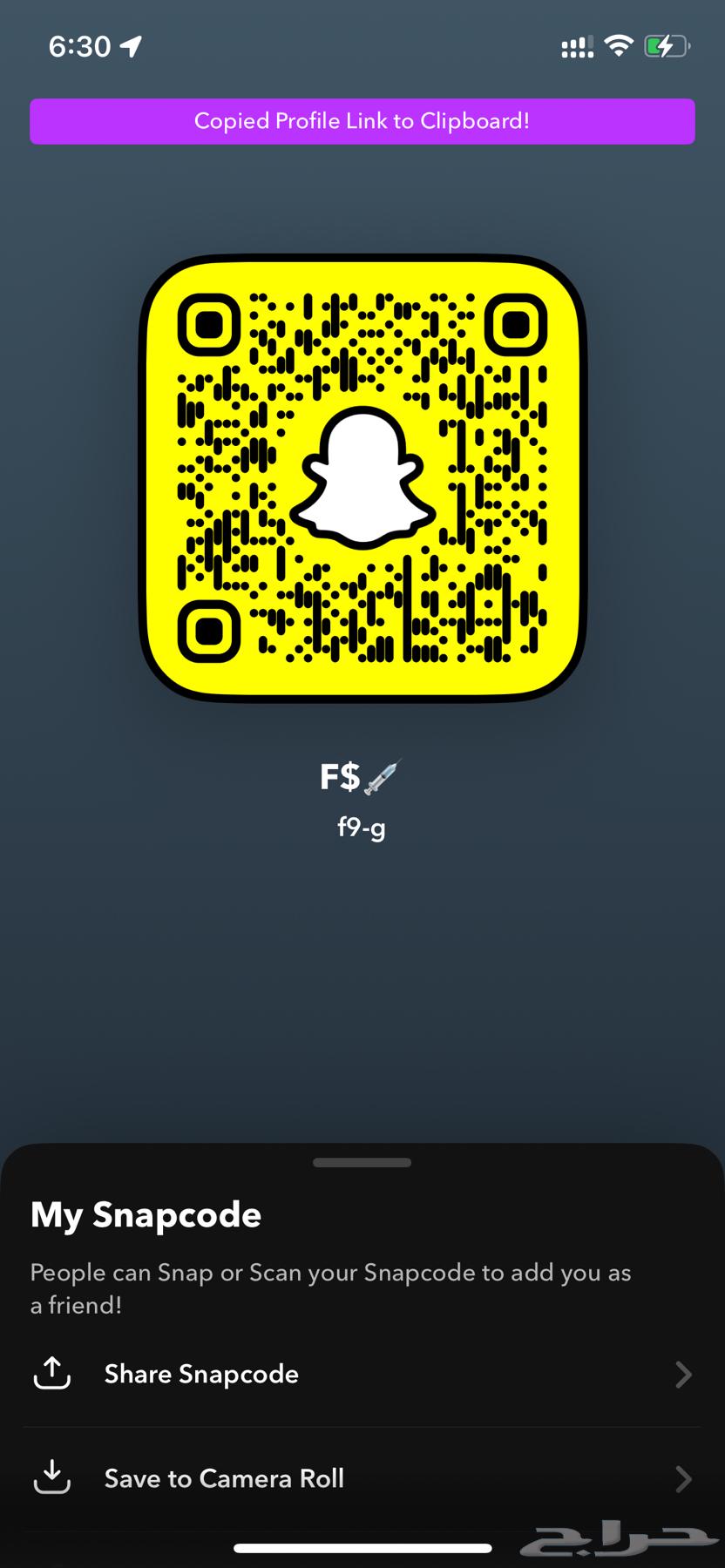يوزر سناب ثلاثي مميز63415276997250110