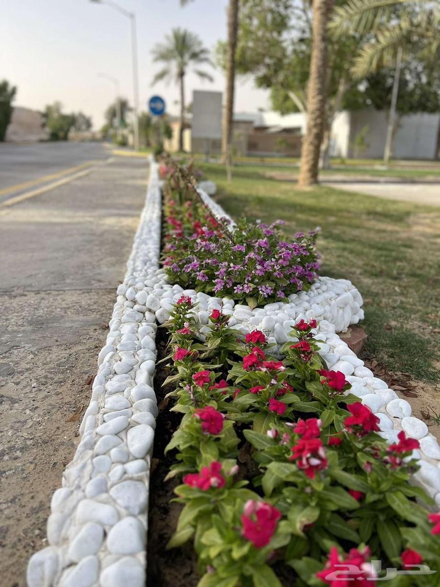 Decorative stone, natural pebbles at wholesale prices63417133562627112