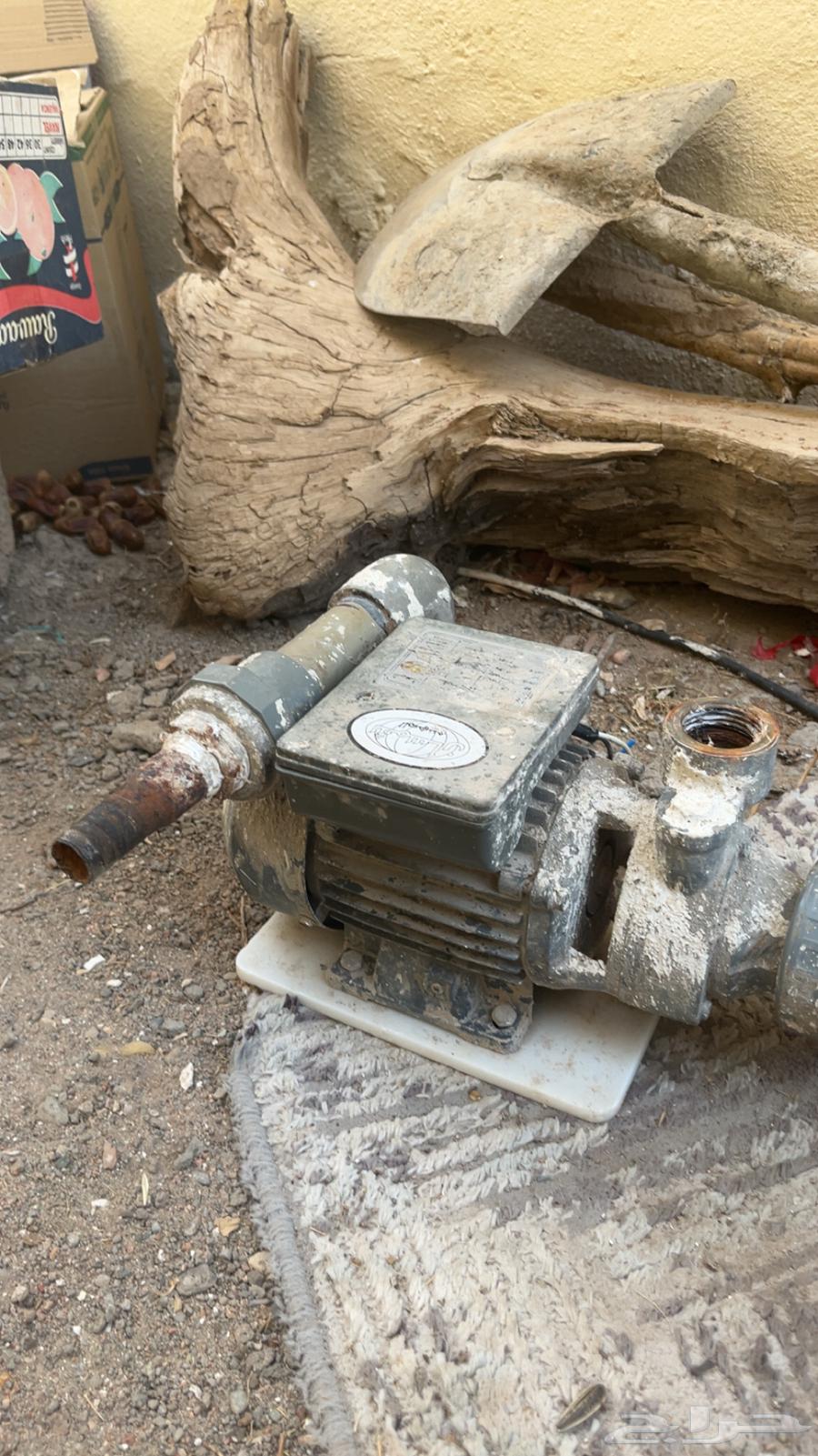 دينمو سمنان مقاس ضغير63409180413057111