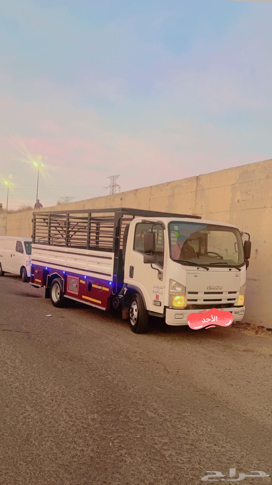 دينا نقل وتوصيل63032719313793114