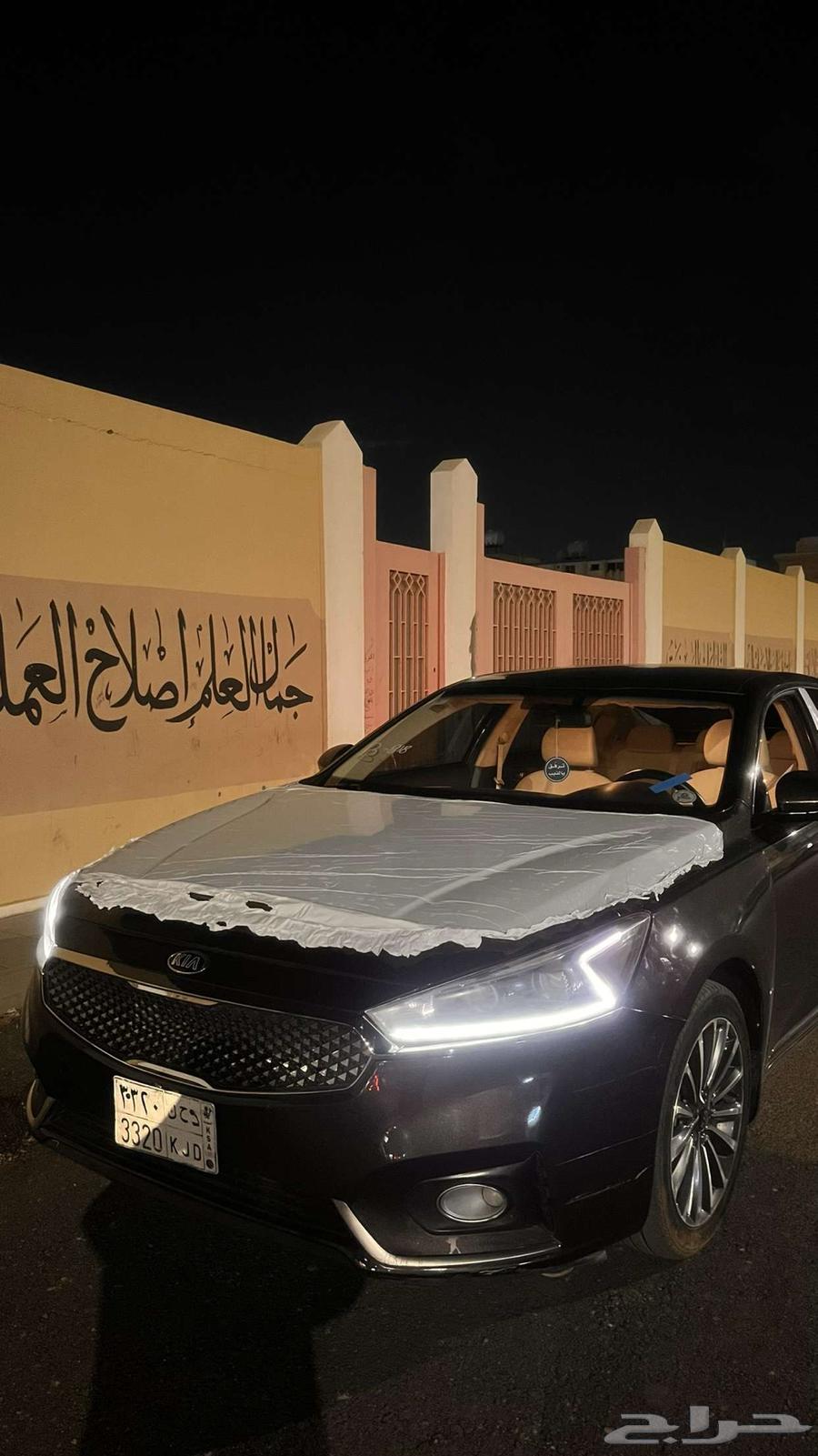 كدنزا 1863612426108546112