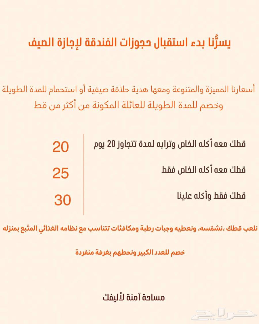 فندقة قطط بأسعار متنوعة630327184898571126