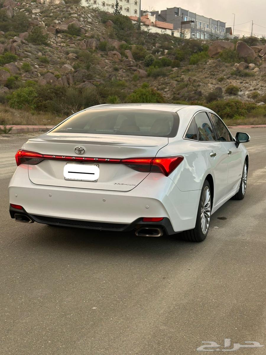 Avalon 2019 Premium63612744656131111