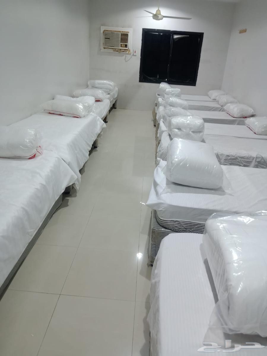 Jeddah, Mecca, and Taif63411707236483112