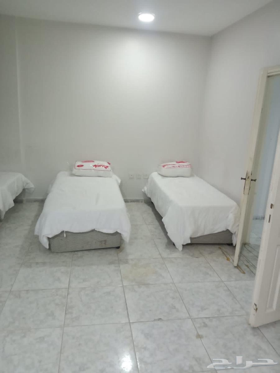 Jeddah, Mecca, and Taif63411707236483114