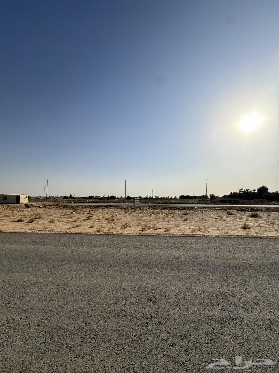 ارض للبيع
