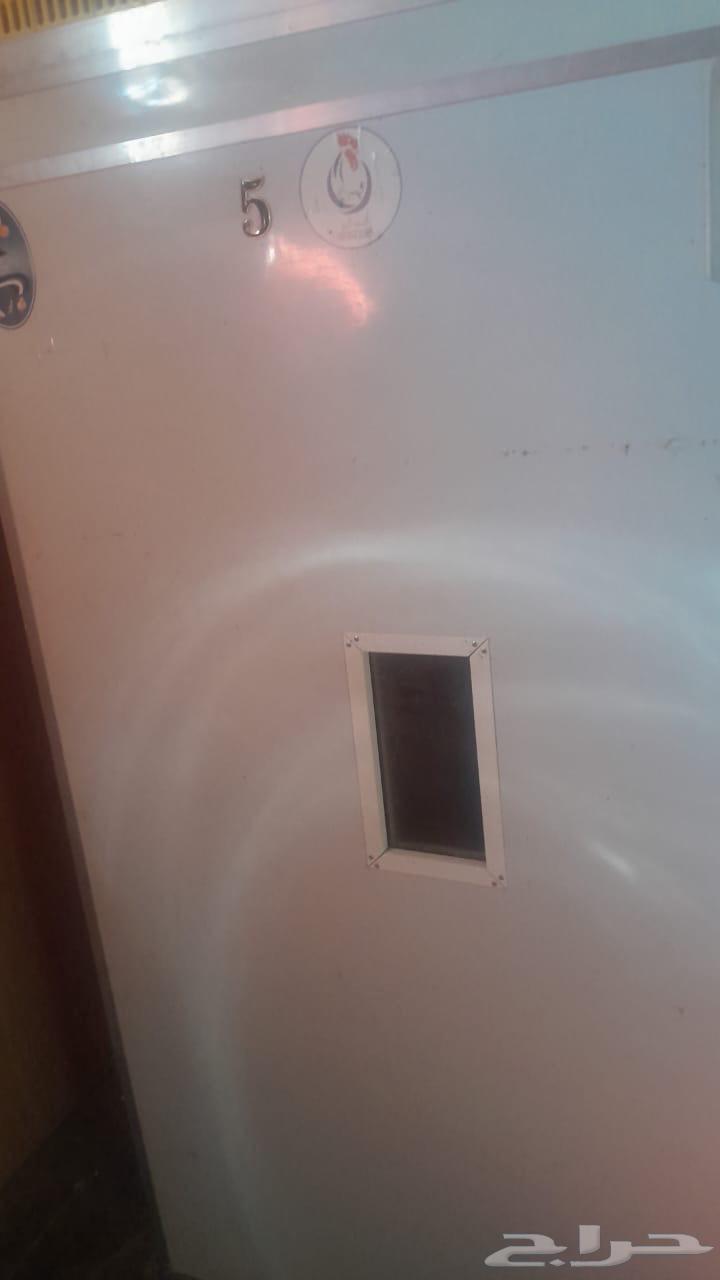 فقاسه كبيره اتوماتيك63410937017602111