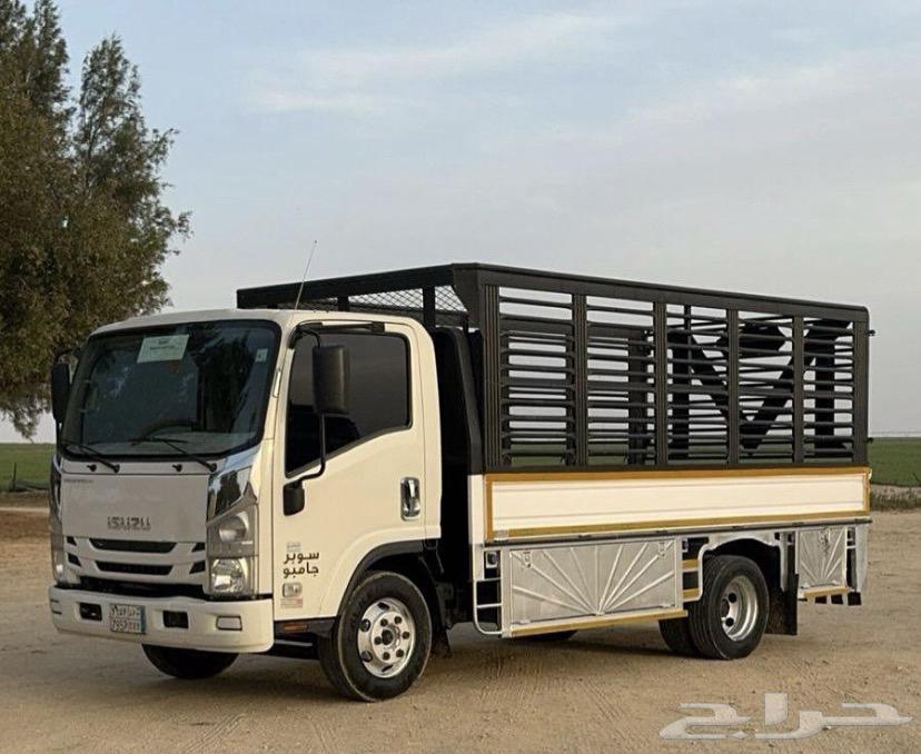 Move camel inside Riyadh, clear the composition of Riyadh.630327224015381116