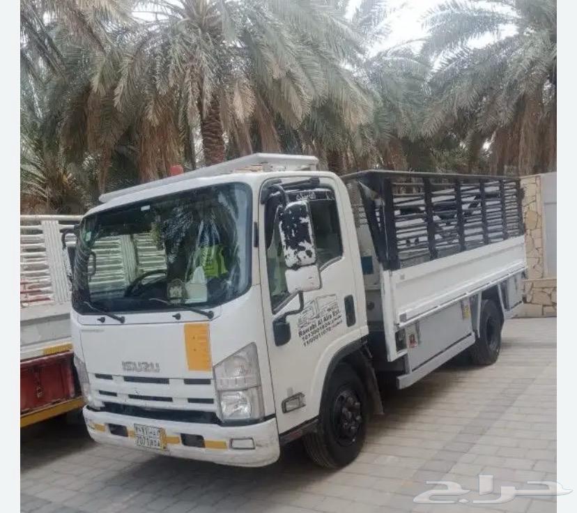 Move camel inside Riyadh, clear the composition of Riyadh.63032722401538112