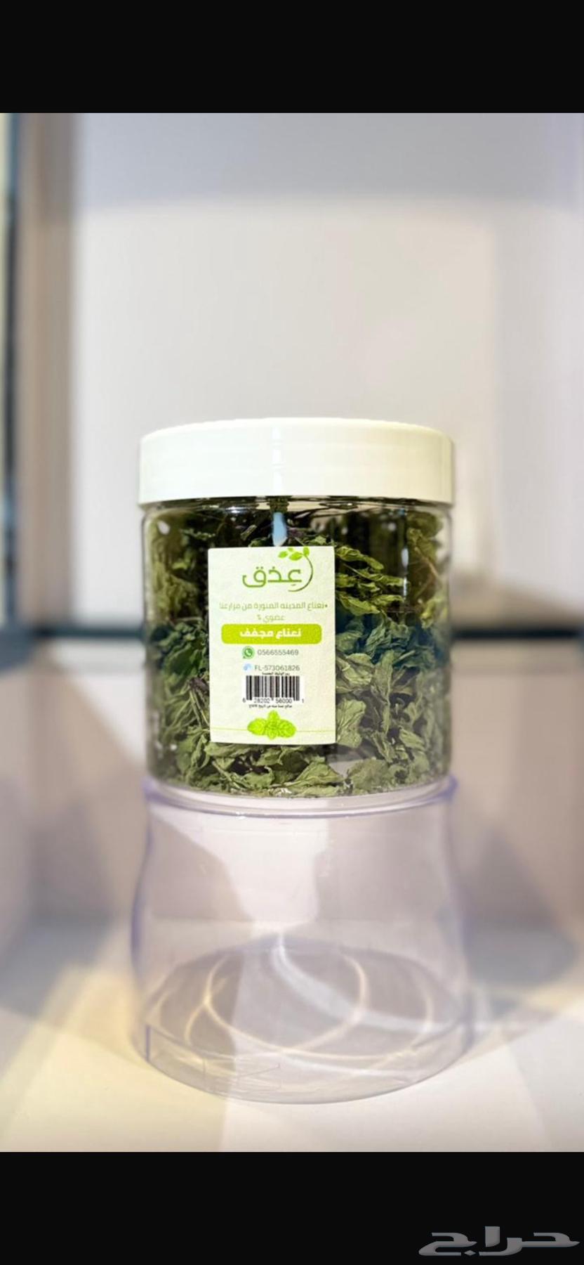 Medina mint (dried)634110104277791112