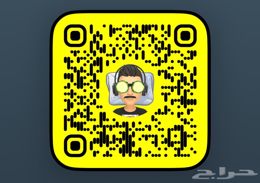 Chow Chow dog63412689836673114