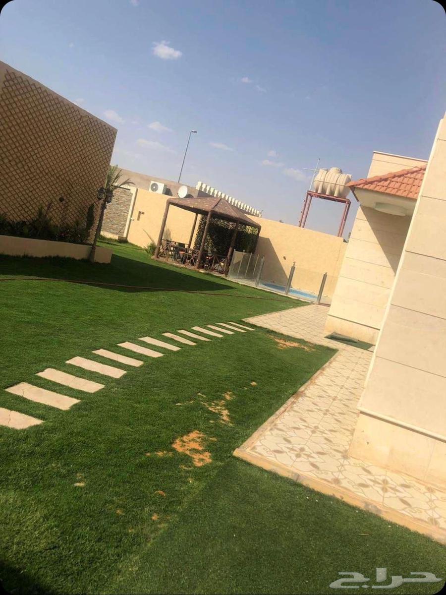 شاليهات ومنتجعات للإيجار اليومي وإيجار بالساعات قسم وقسمين63034825302147111