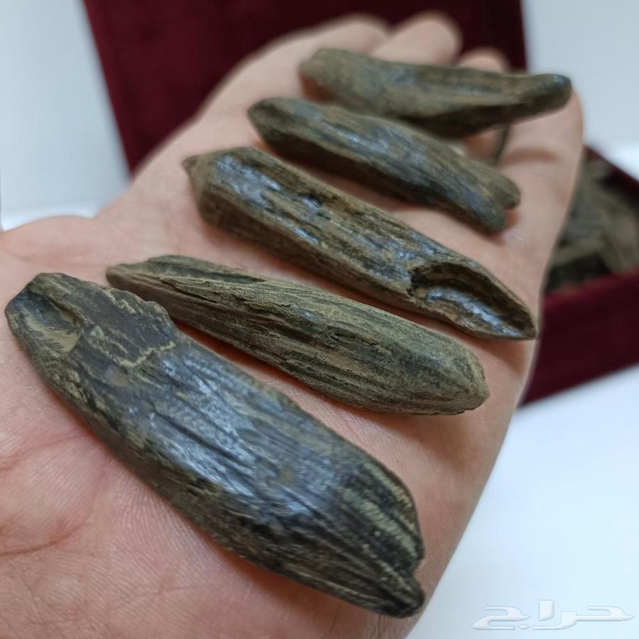 Offer on a quarter kilo of Kalimantan luxury oud for 450 instead of 650633188312089631128