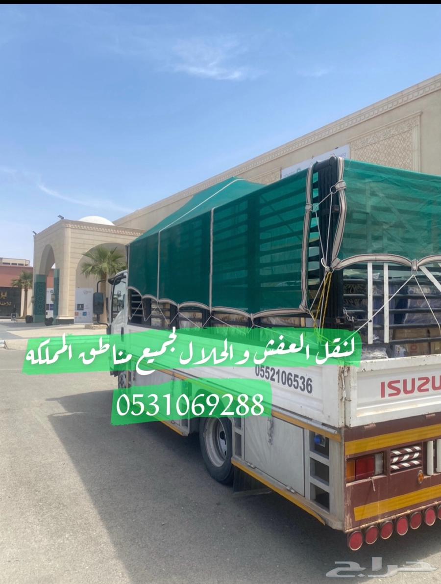 Dina for furniture transportation and logistics630177911293471125