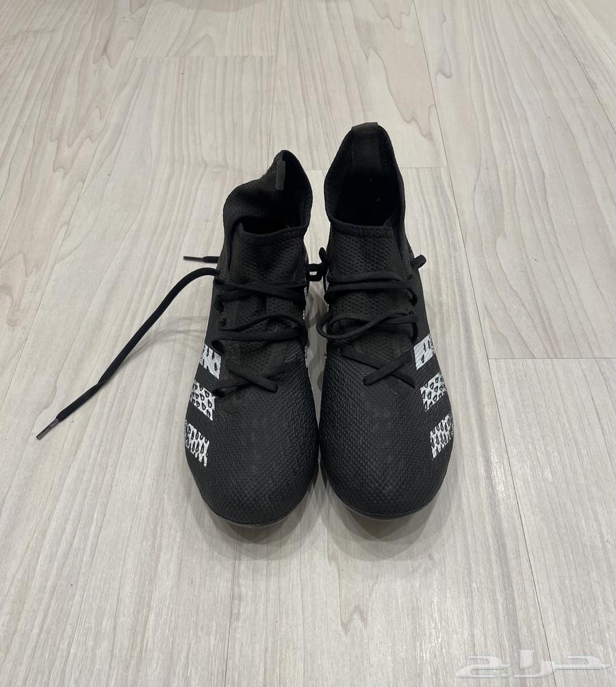 Adidas sports shoe63407536236290113