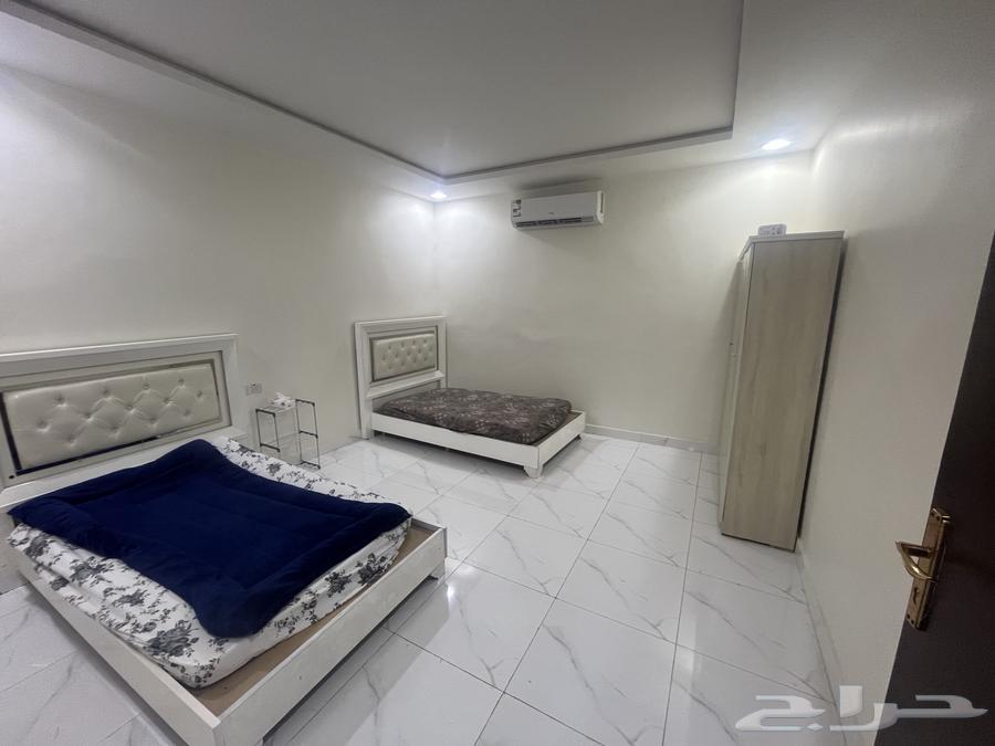 شقة عزاب في محافظة المجمعة63009503116418112