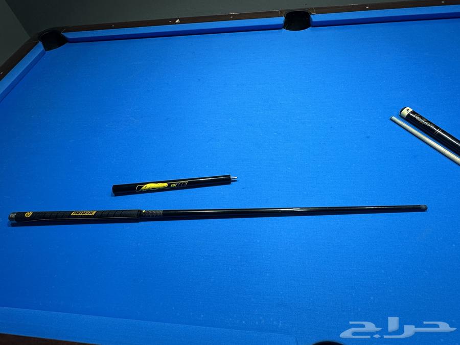 A broken pool cue and a companion.63406778340225113