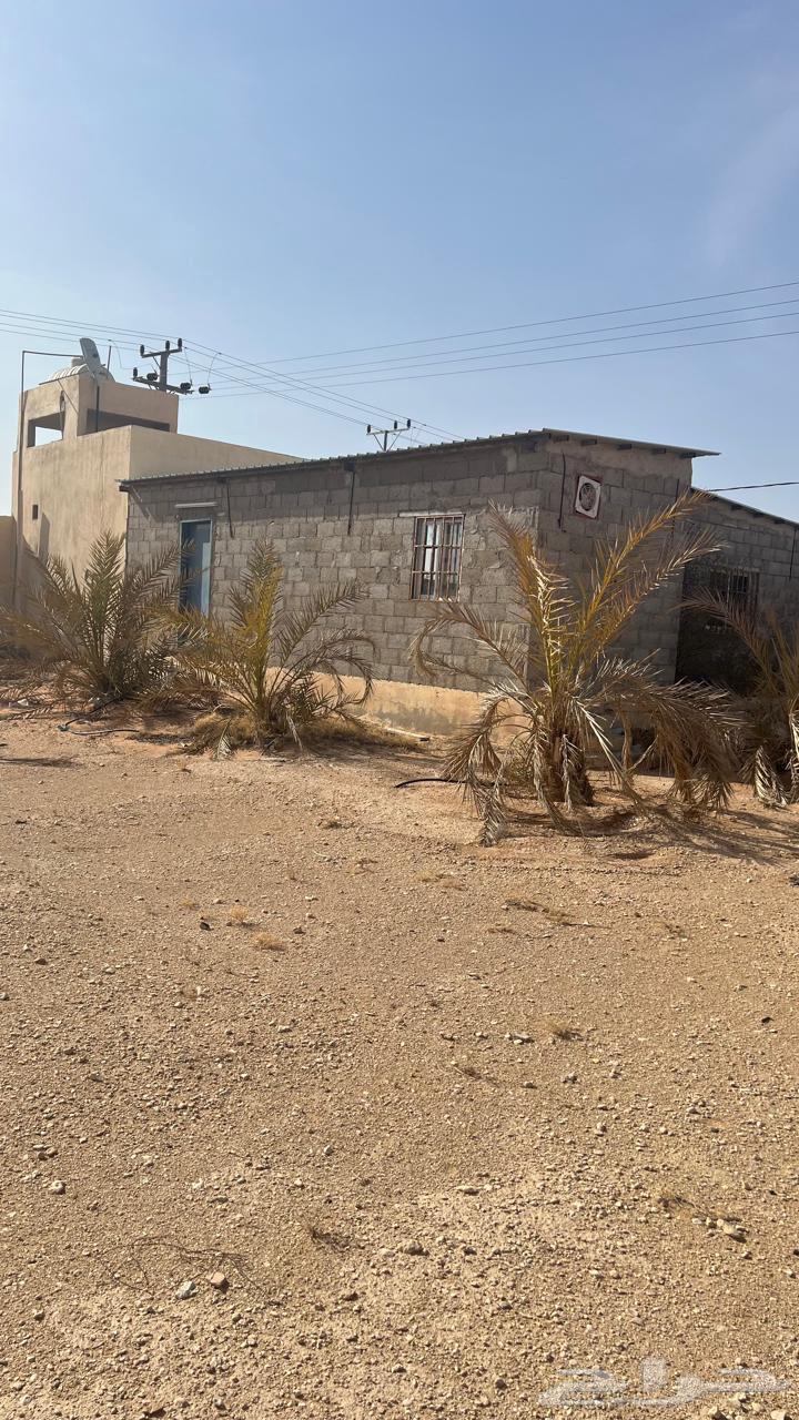 For sale: a rest house in Dharim on two streets63004099118209111