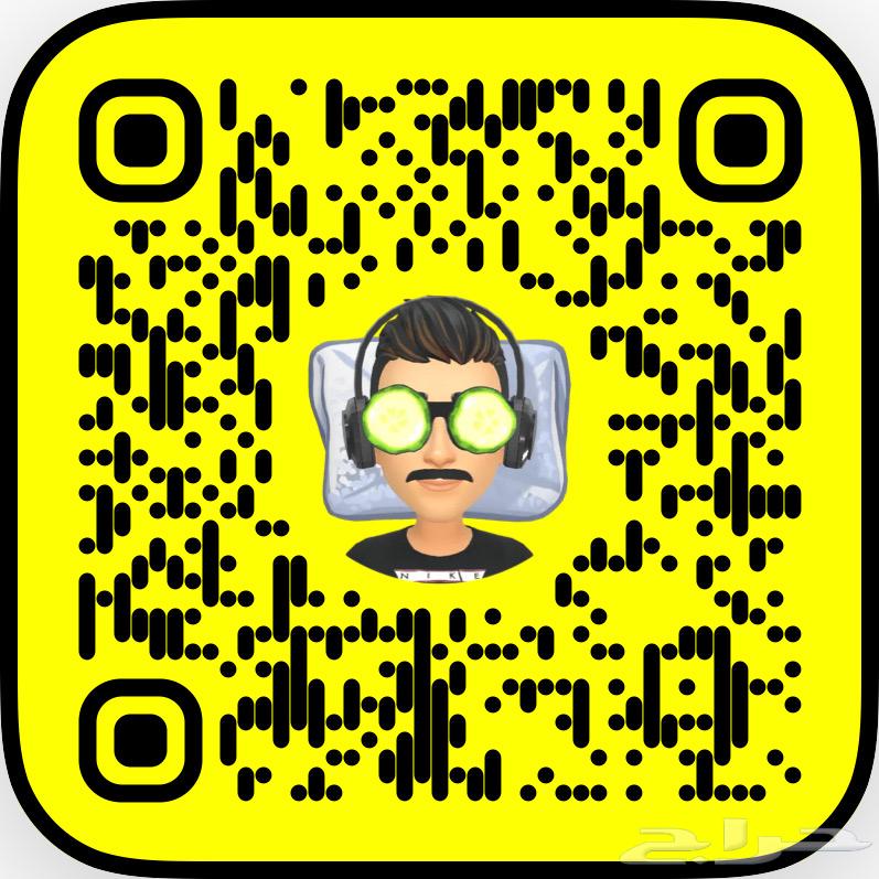 كلب بومرينيان63403606973313114
