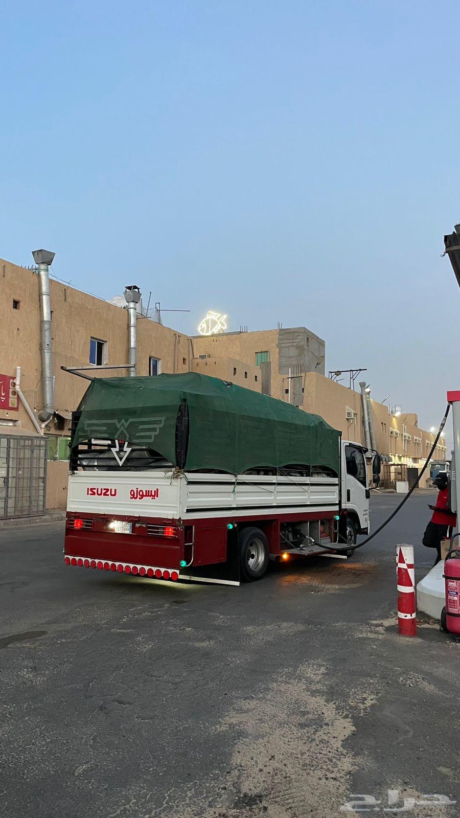 دينه دينا ابها63034825414275111
