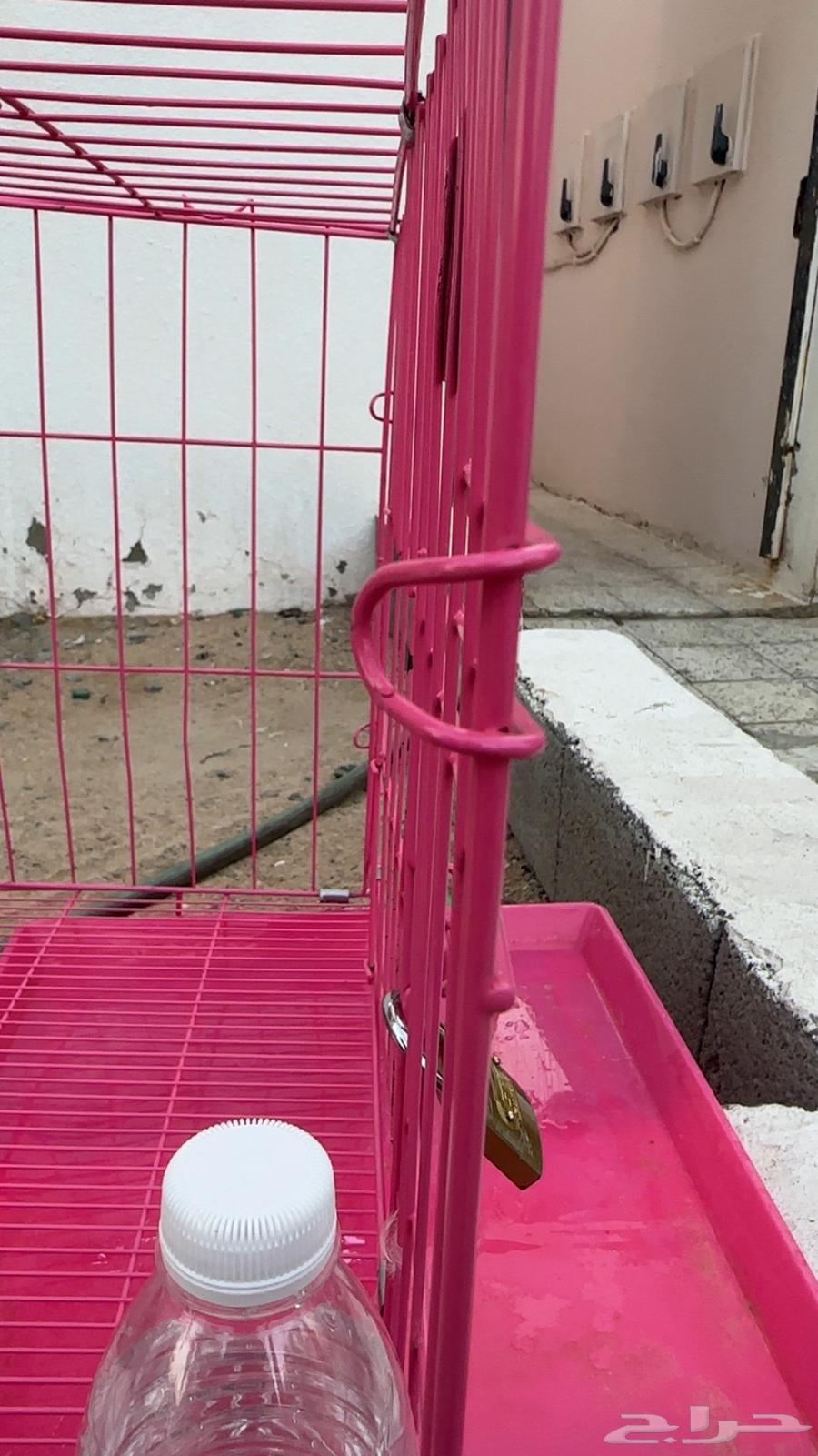 Cage for sale, new63400945090689112