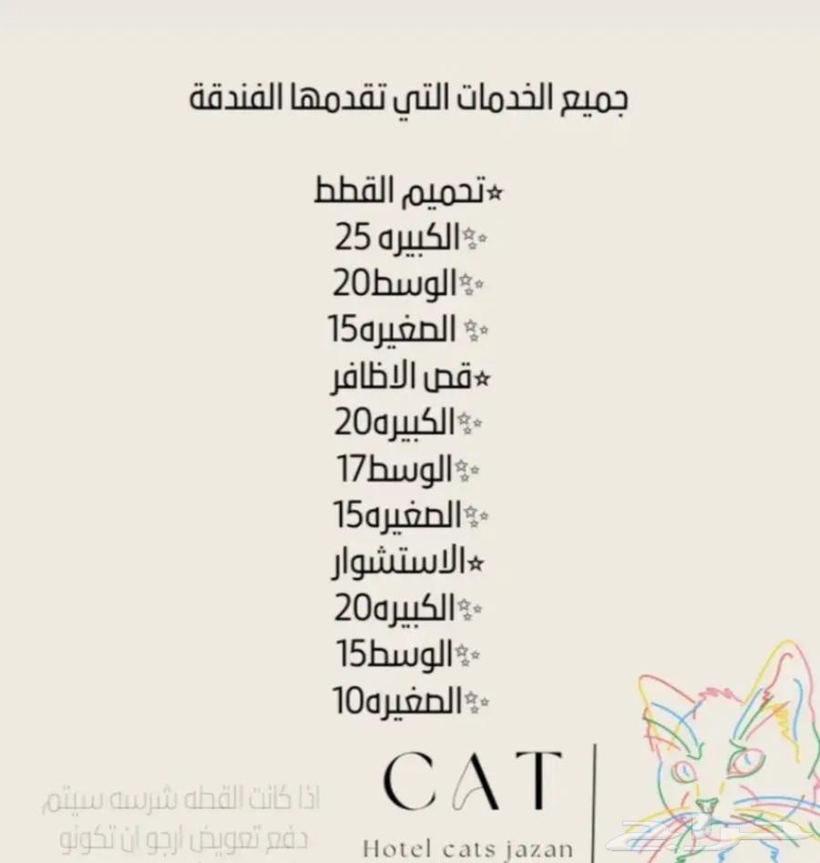 فندقة قطط جازان63031421765506112