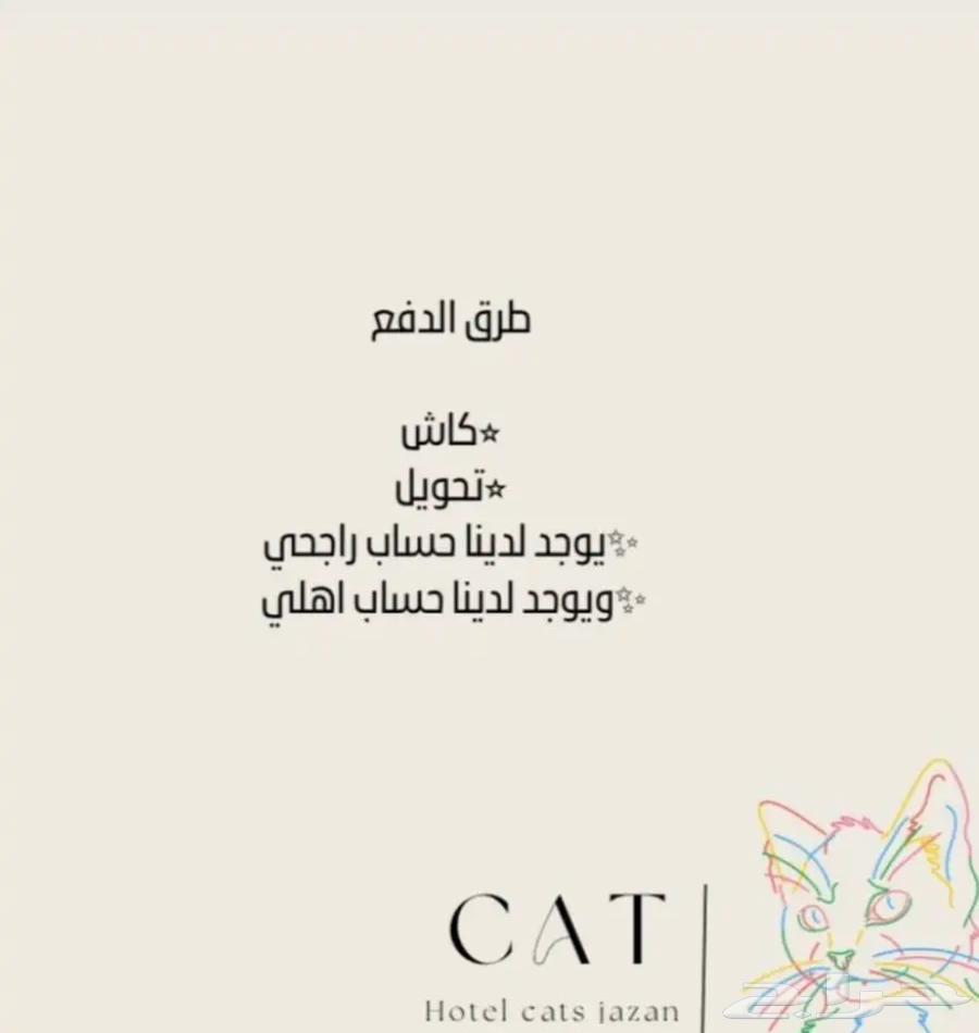 فندقة قطط جازان63031421765506114