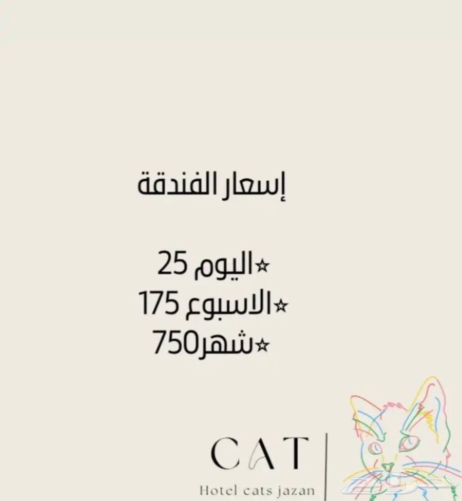 فندقة قطط جازان63031421765506111