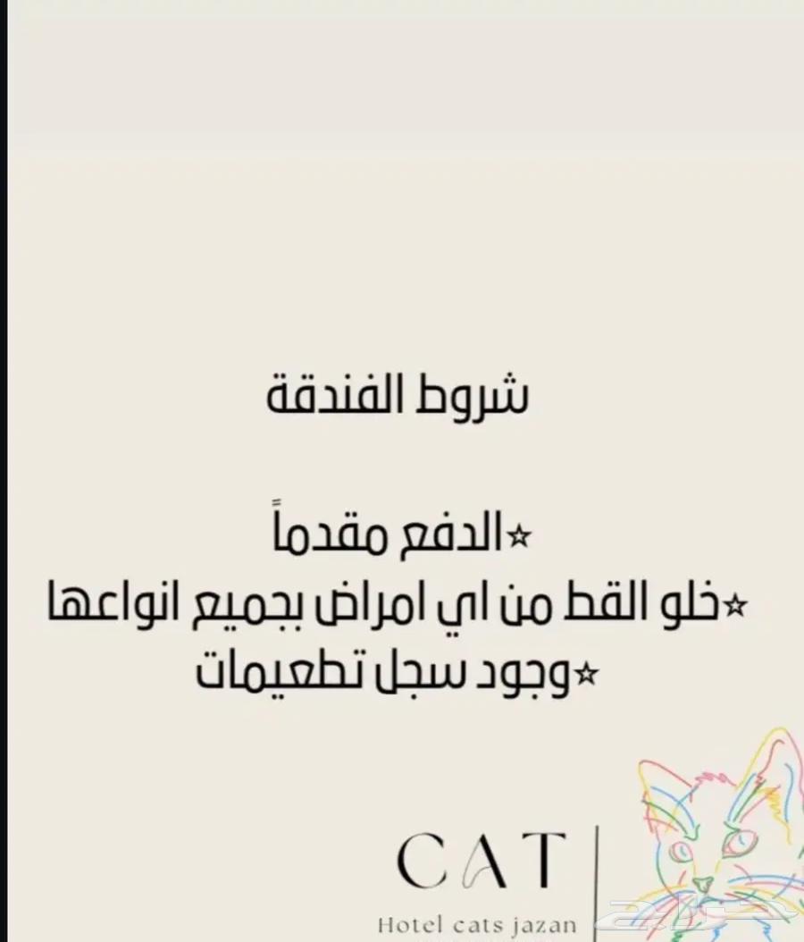فندقة قطط جازان63031421765506113