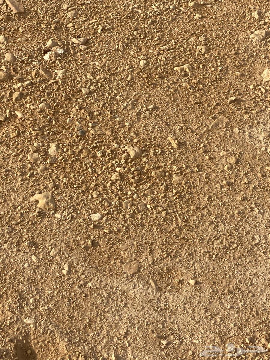 Very clean Sabia soil63399682506369112