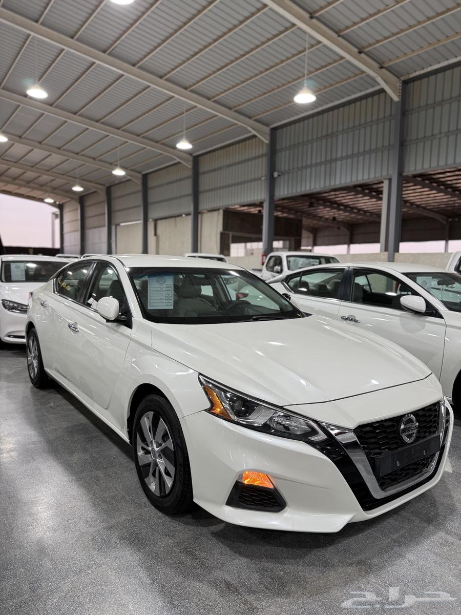 Alima 2020 Standard S at Obaid Al-Rashidi Exhibition63613692402433112
