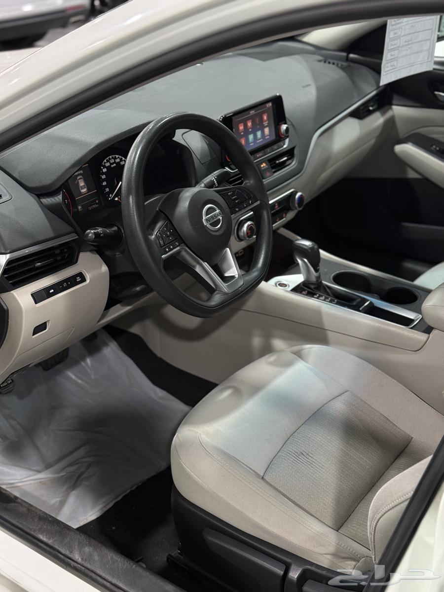 Alima 2020 Standard S at Obaid Al-Rashidi Exhibition63613692402433114