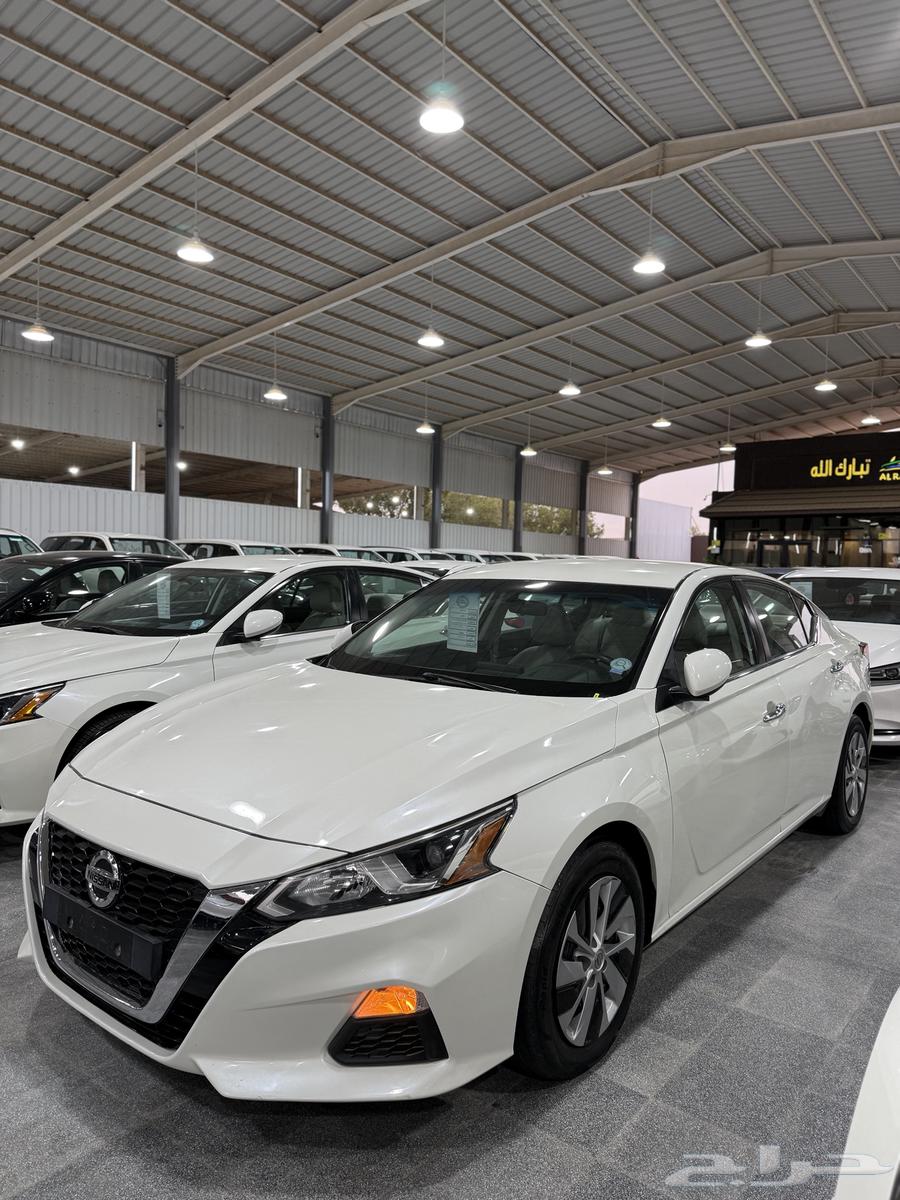 Alima 2020 Standard S at Obaid Al-Rashidi Exhibition63613692402433111