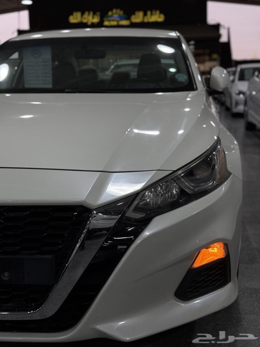 Alima 2020 Standard S at Obaid Al-Rashidi Exhibition63613692402433113