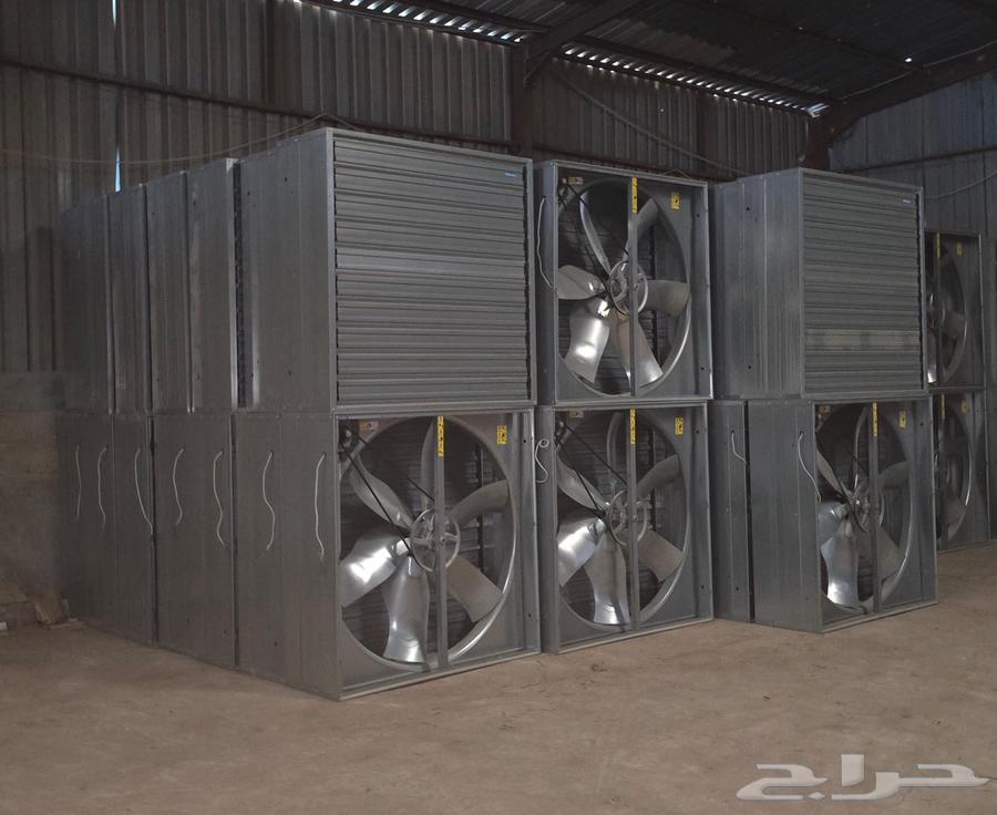 Fans for sale (Chinese-Italian)633785577971221118