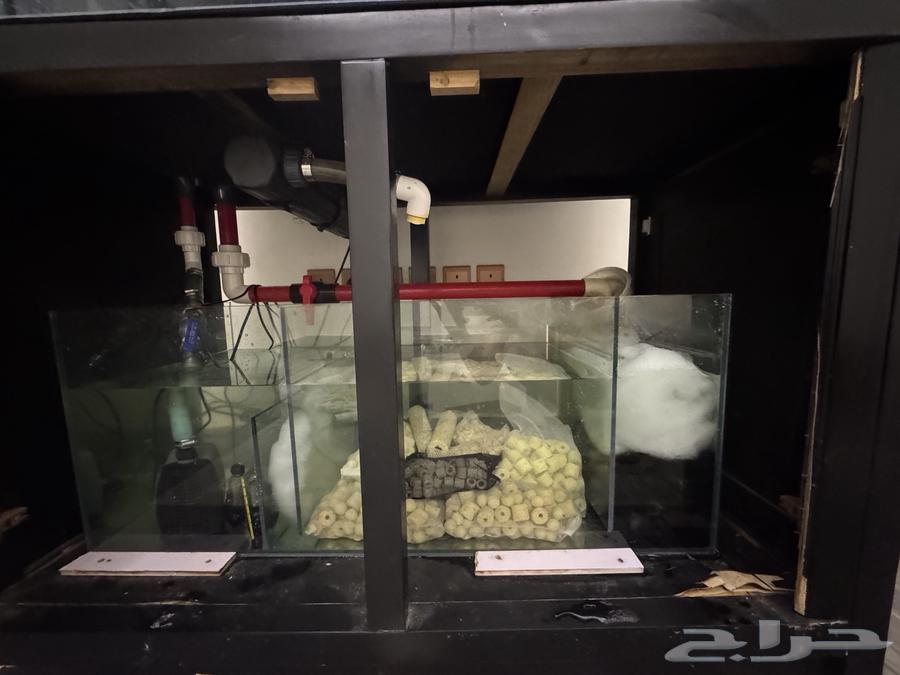 Crystal fish tank with pump63378367357569112