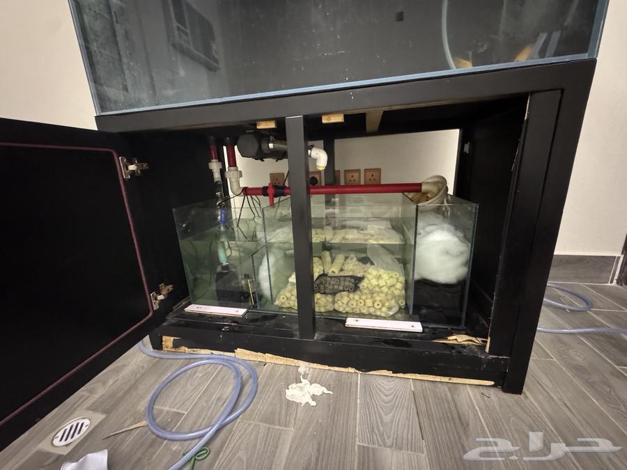 Crystal fish tank with pump63378367357569113