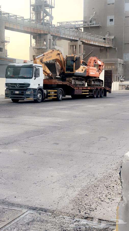 لوبد متواجد في جازان63031859339906114